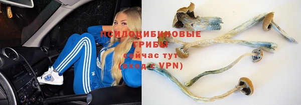 каннабис Зерноград