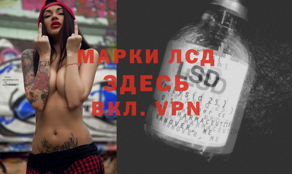 кокс Инсар