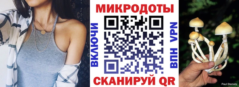 Галлюциногенные грибы Cubensis  Купить  Верхний Тагил 